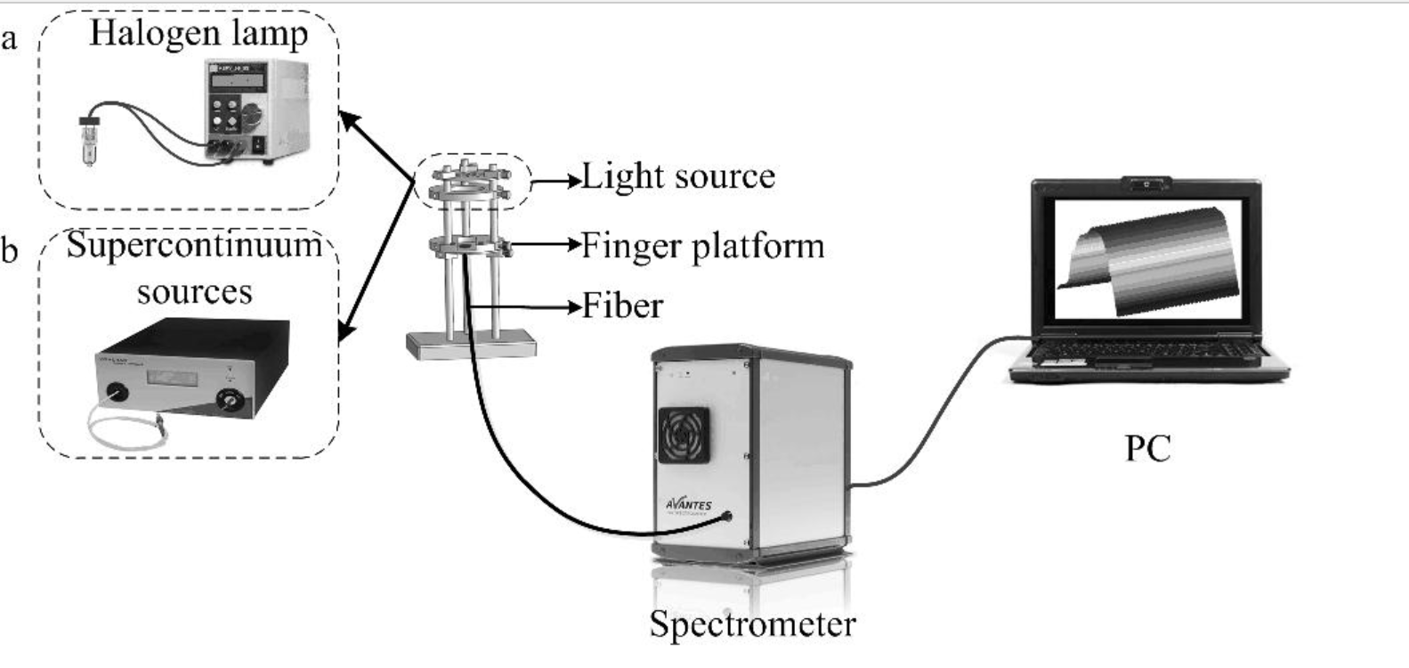 血氧無損光譜檢測