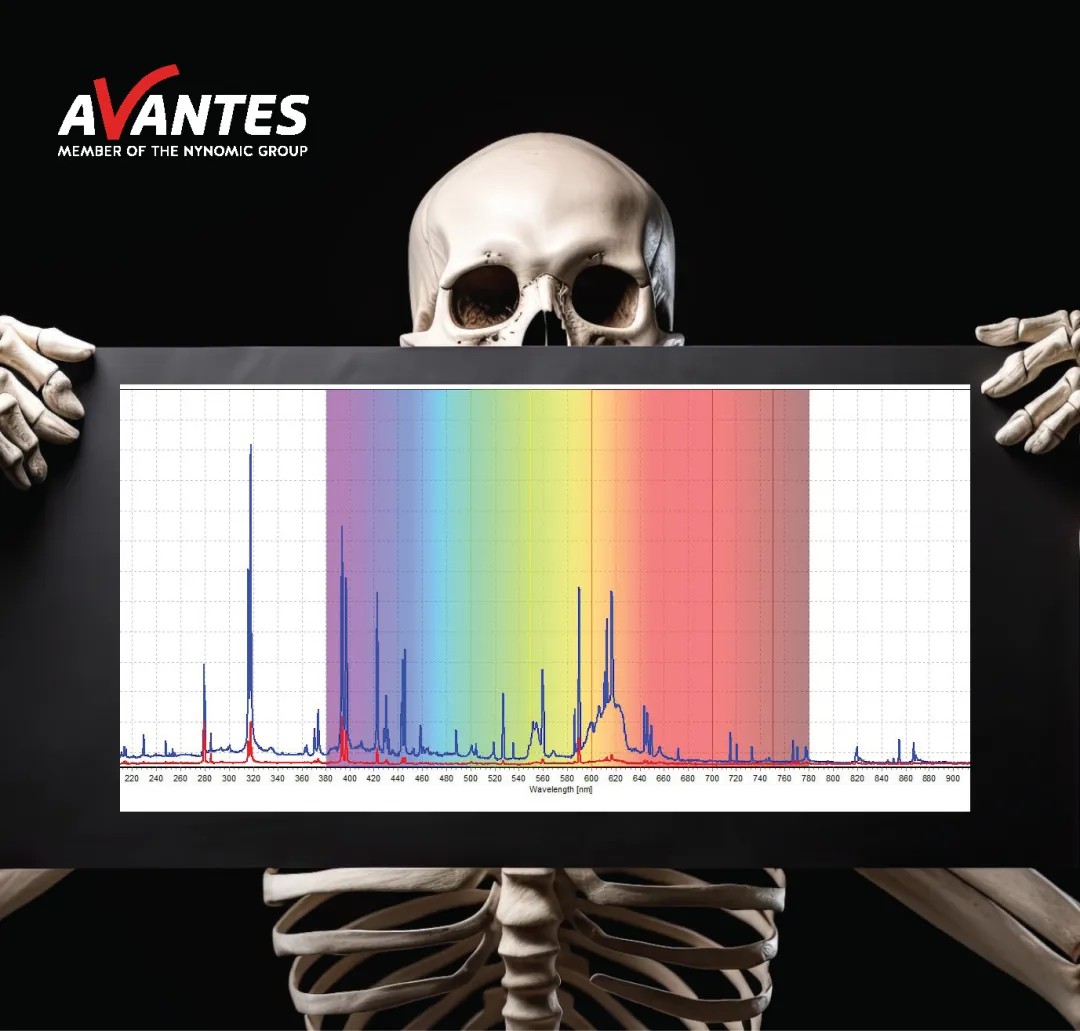 LIBS技術(shù)測(cè)量骨骼的光譜